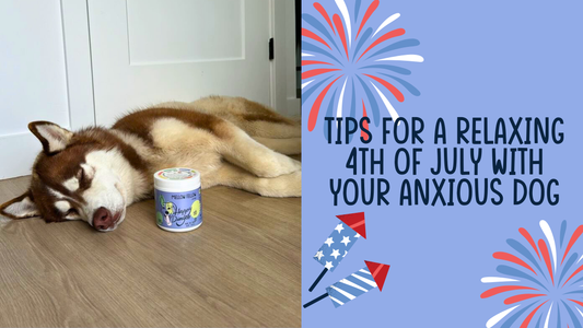 Tips for a Relaxing 4th of July with Your Anxious Dog
