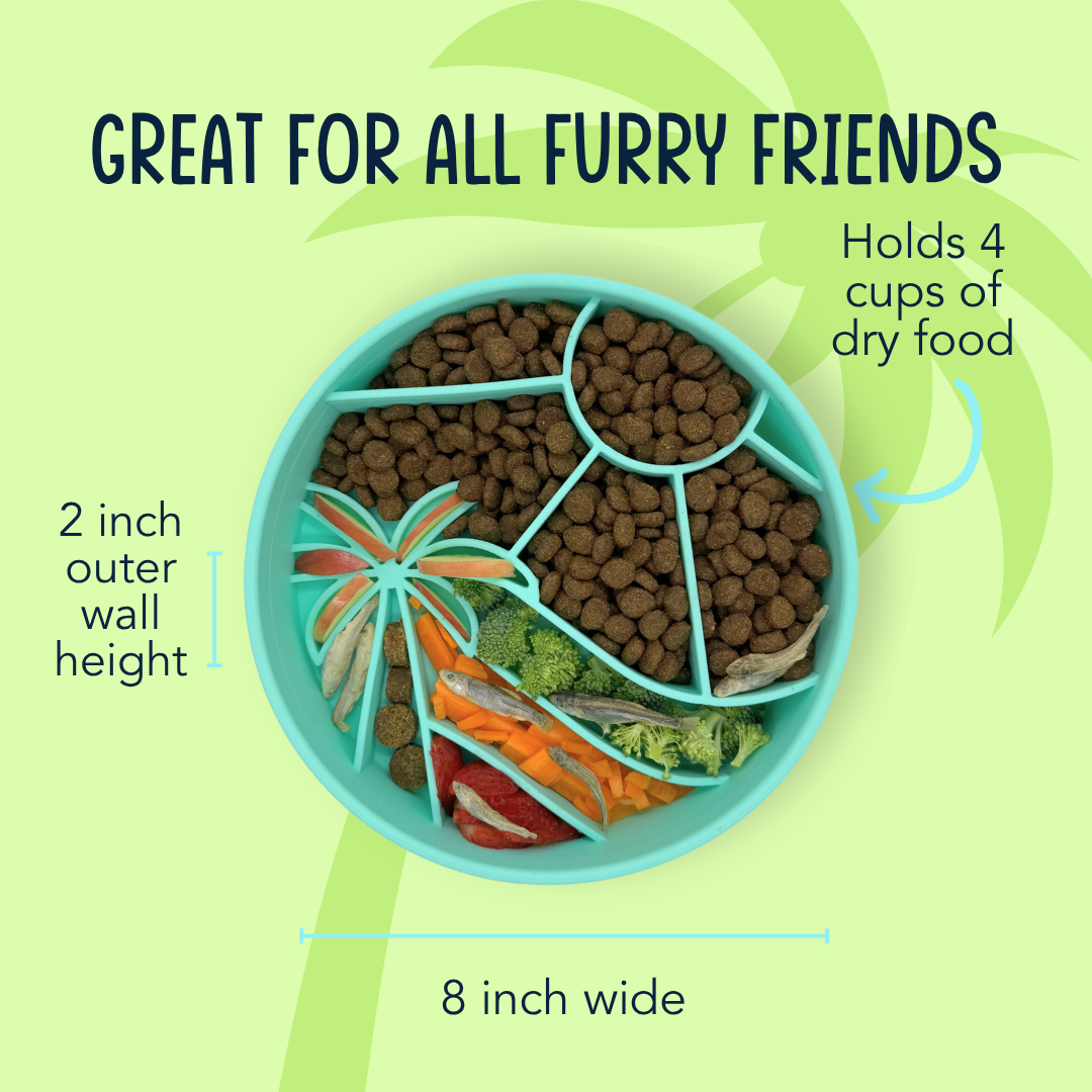 Loco Coco Interactive Slow Feeder Bowl