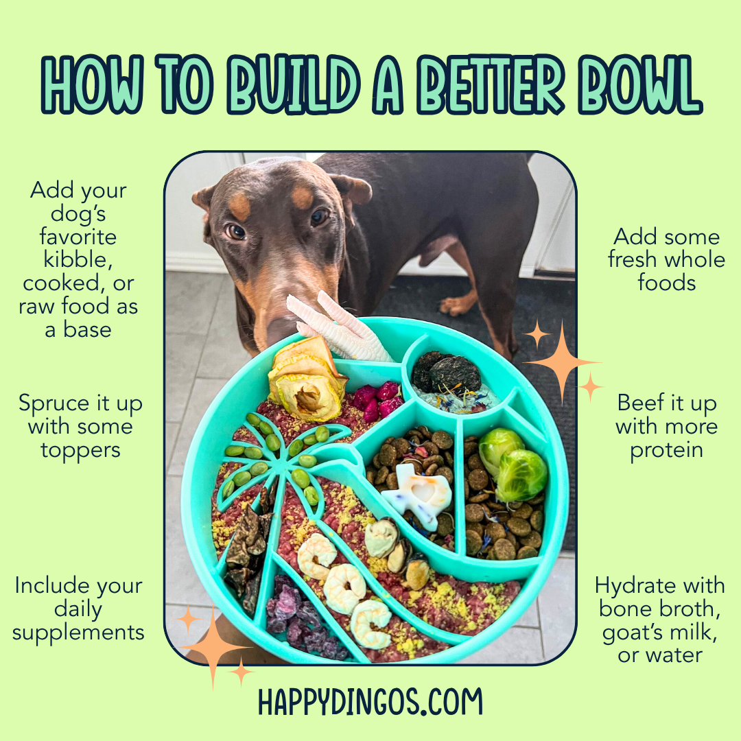 Loco Coco Interactive Slow Feeder Bowl