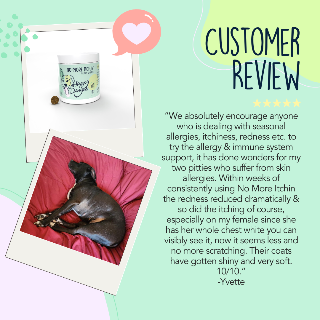 No More Itchin' - Allergy & Immune Supplement for Dogs