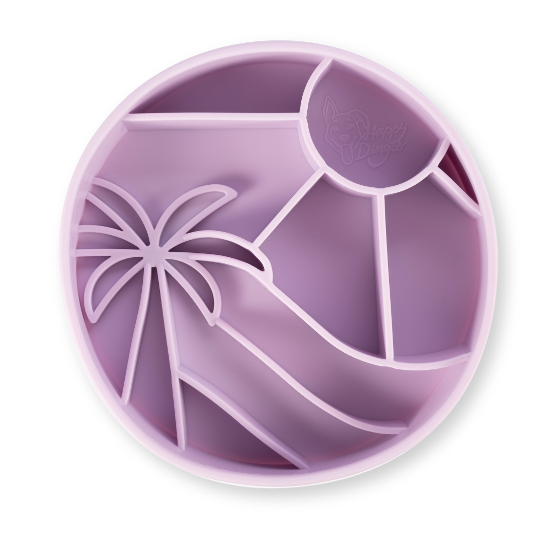 Loco Coco Interactive Slow Feeder Bowl