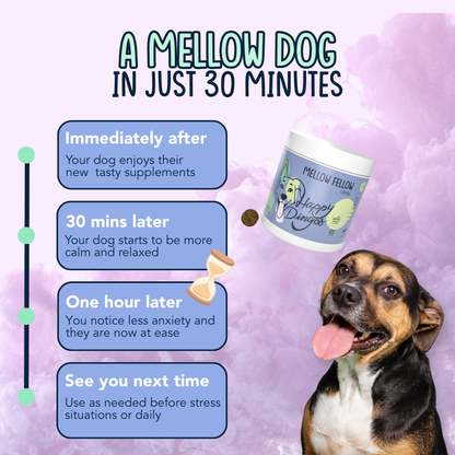 Mellow Fellow Calming Supplement for Dogs - Travel size