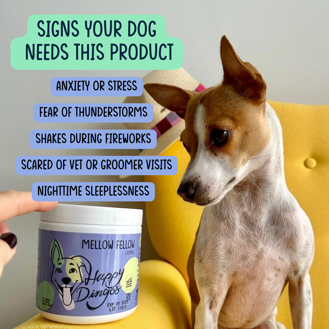 Happy Dingos Starter Pack