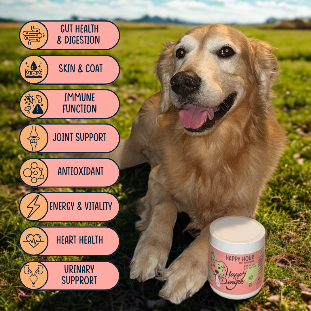 Happy Hour Multivitamin Supplement for Dogs