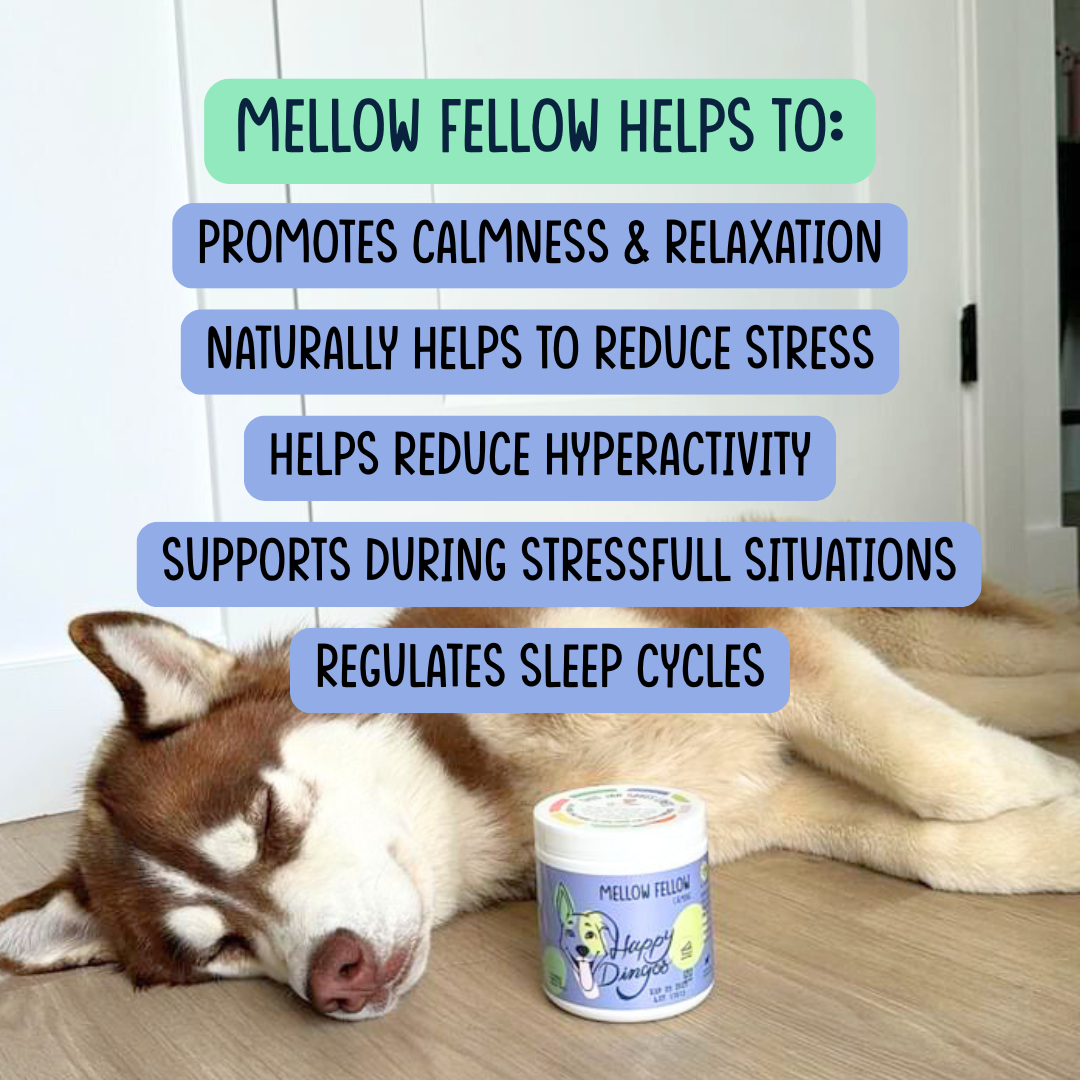 Mellow Fellow Calming Supplement for Dogs - Travel size