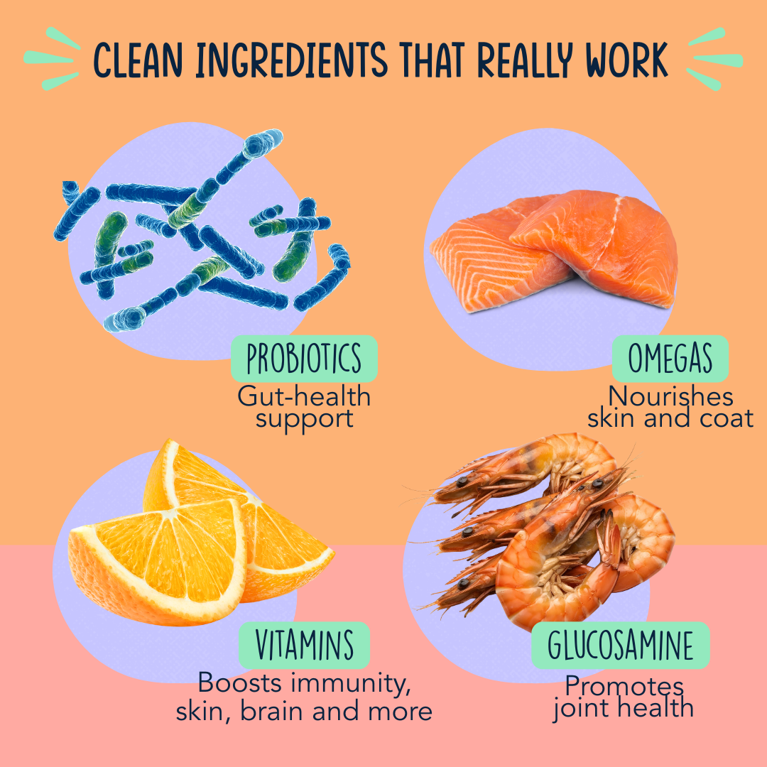 Happy Hour Multivitamin Supplement for Dogs