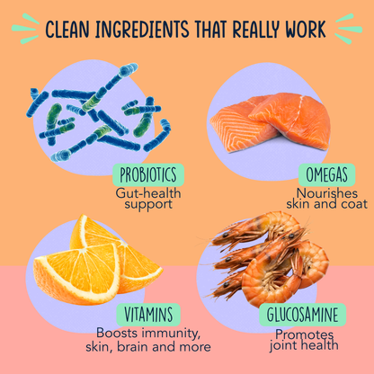 Happy Hour Multivitamin Supplement for Dogs