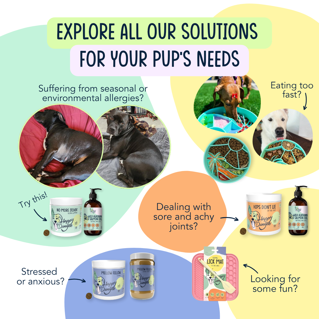 Happy Hour Multivitamin Supplement for Dogs