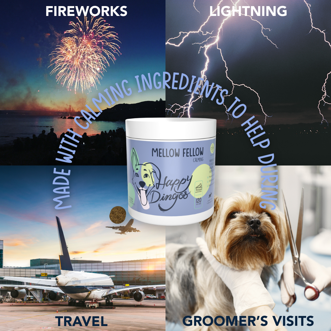 Happy Dingos Starter Pack