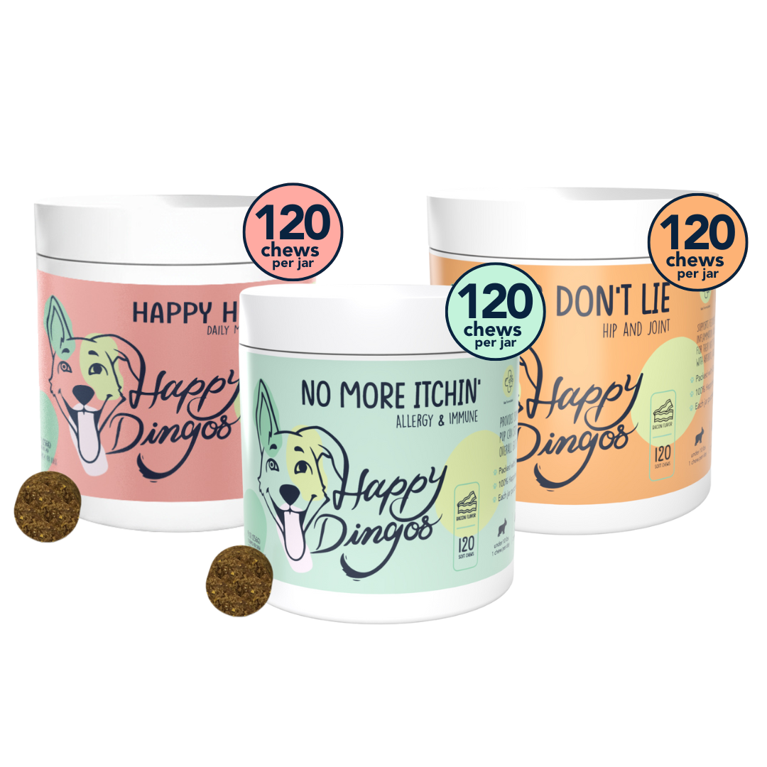 Daily Core Trio – Happy Dingos
