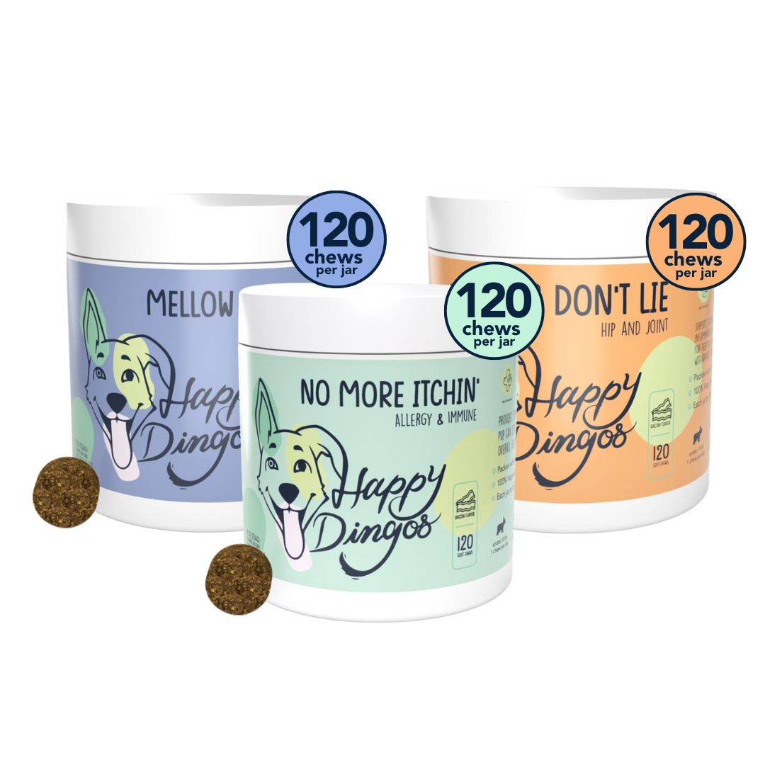 The Feel-Good Bundle – Happy Dingos