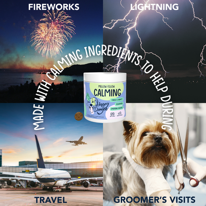 Mellow Fellow - Calming Supplement for Dogs