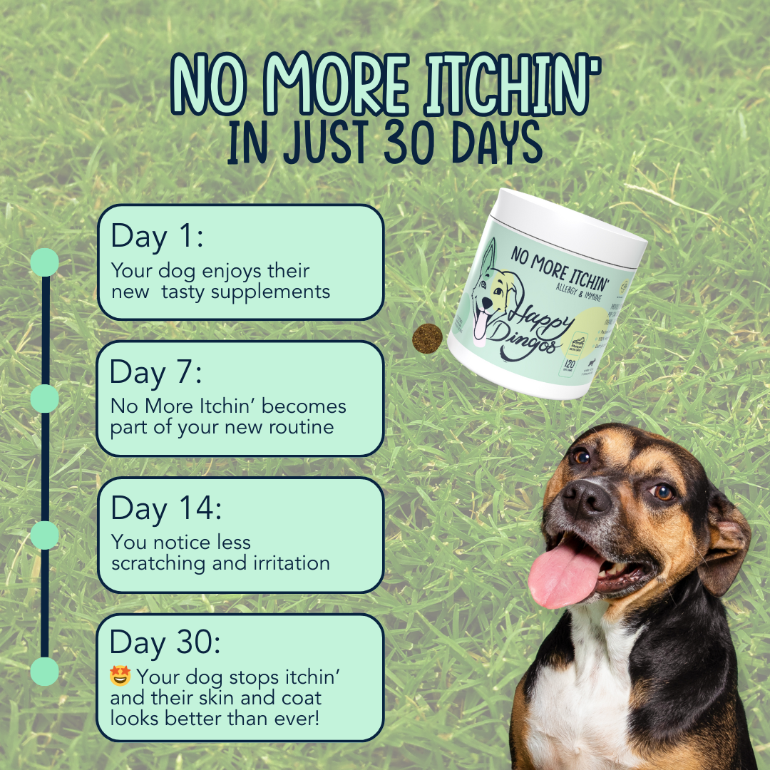 No More Itchin' - Allergy & Immune Supplement for Dogs