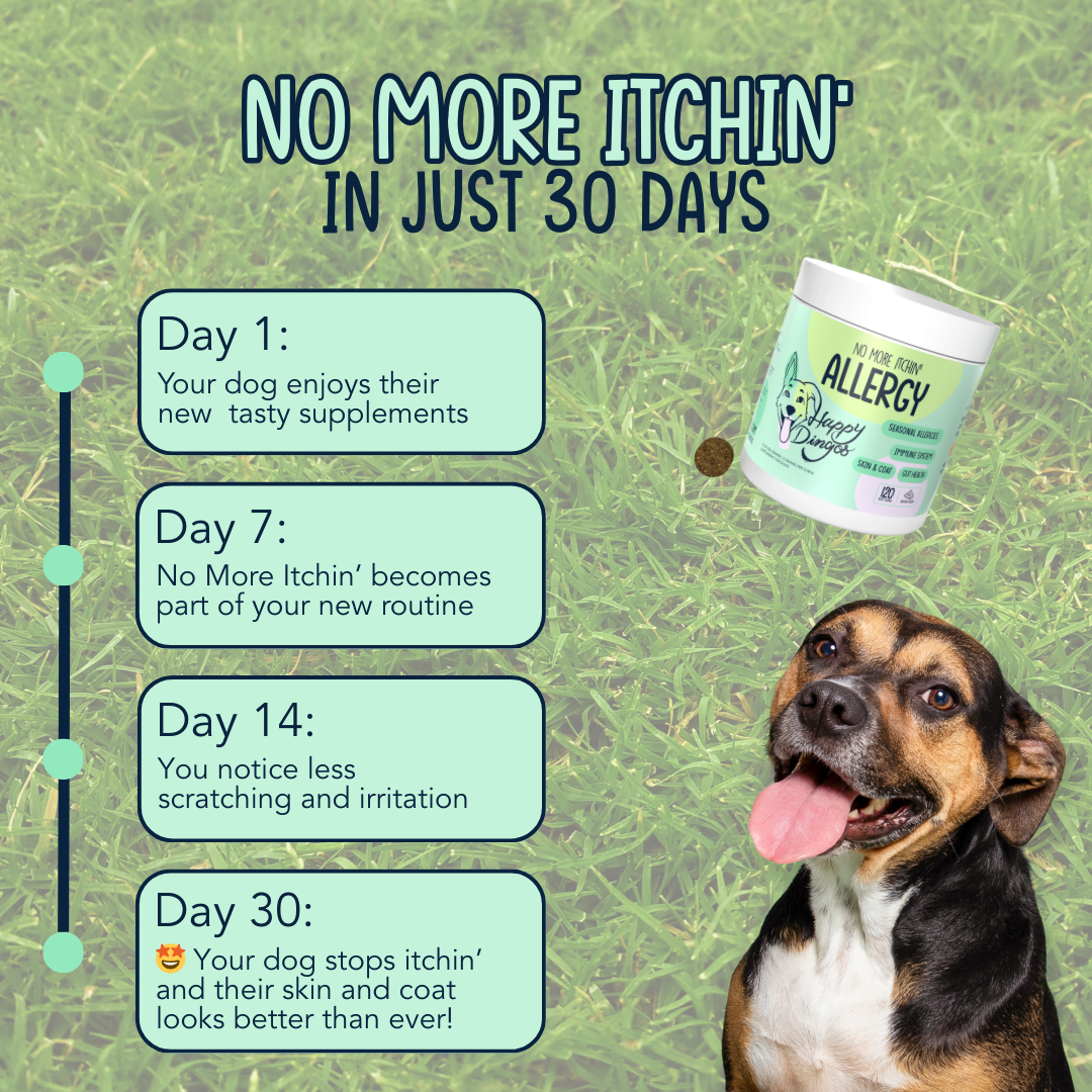 No More Itchin' - Allergy & Immune Supplement for Dogs