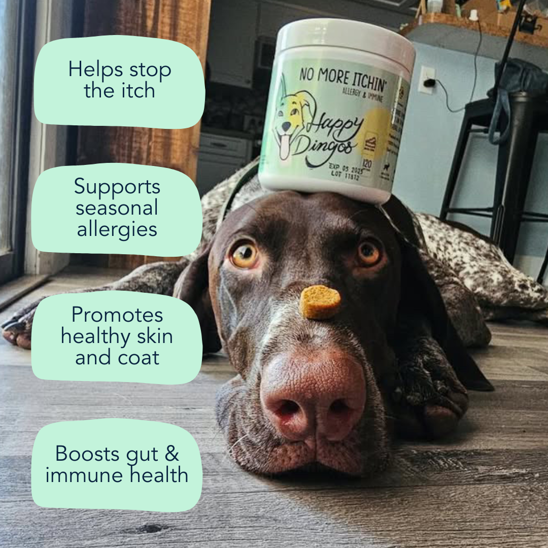 No More Itchin' - Allergy & Immune Supplement for Dogs