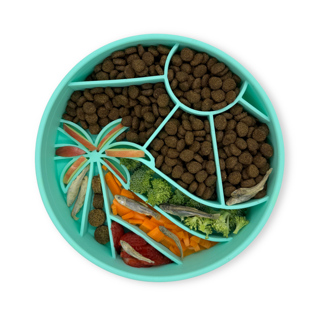 Chevron slow feeder bowl - seafoam