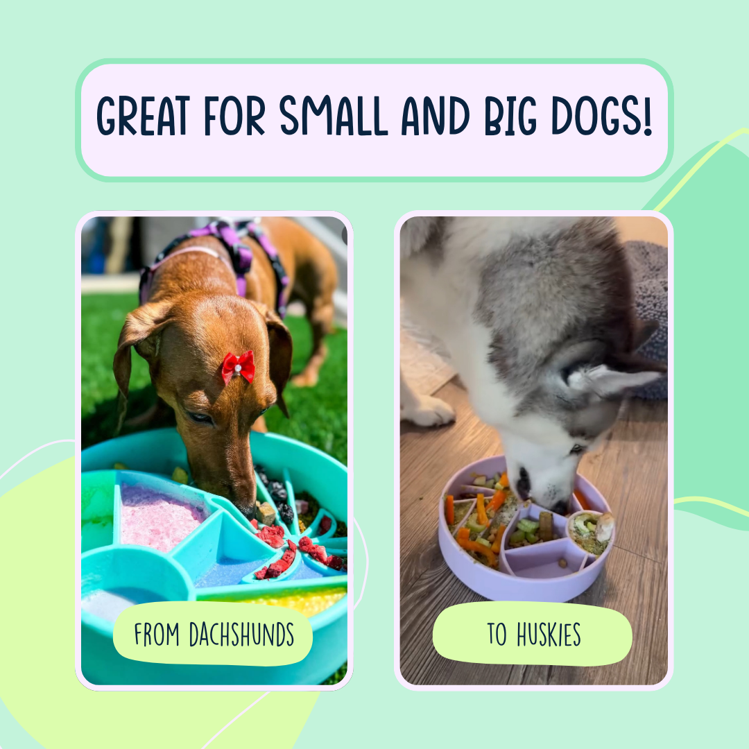 Loco Coco Interactive Slow Feeder Bowl